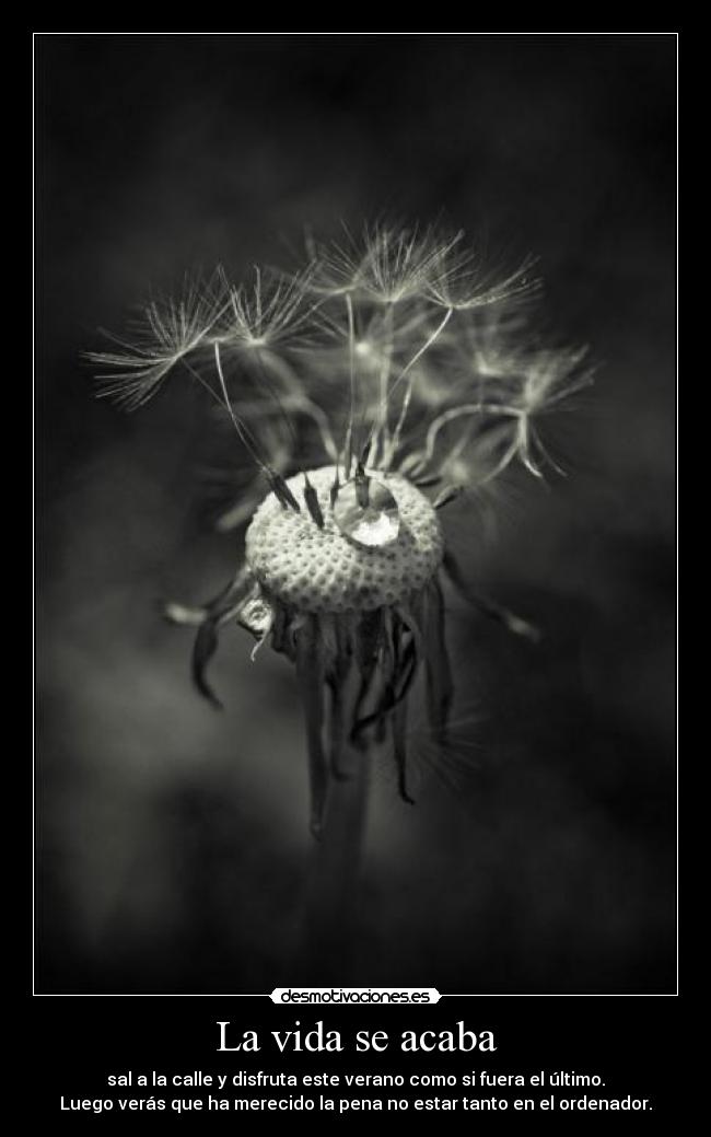 La vida se acaba -