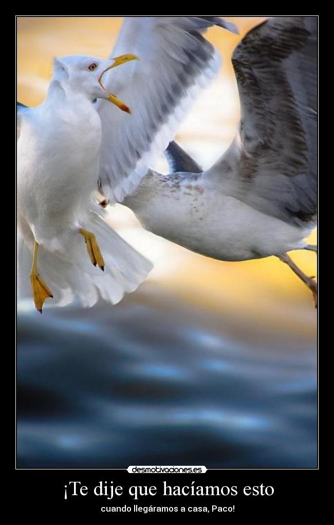 ¡Te dije que hacíamos esto - cuando llegáramos a casa, Paco!