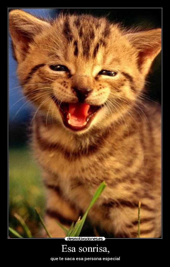 Esa sonrisa, - que te saca esa persona especial