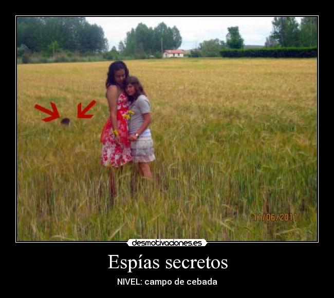 Espías secretos - NIVEL: campo de cebada