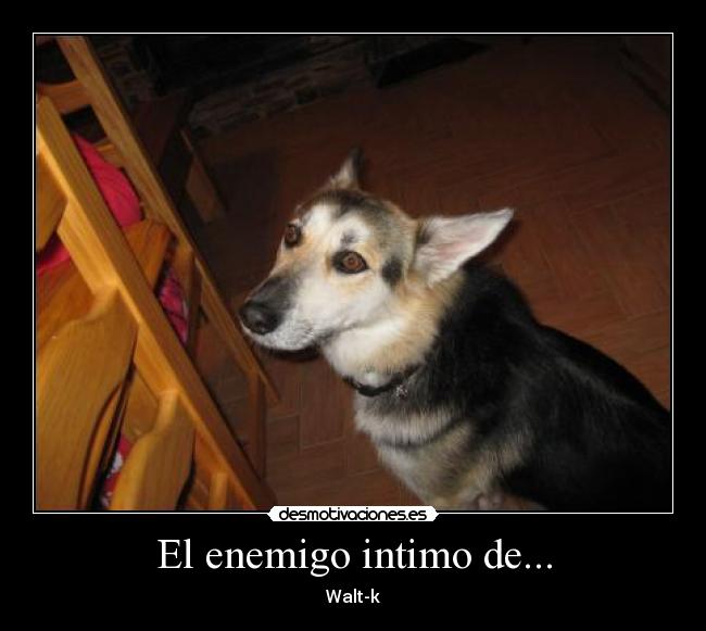 El enemigo intimo de... - Walt-k