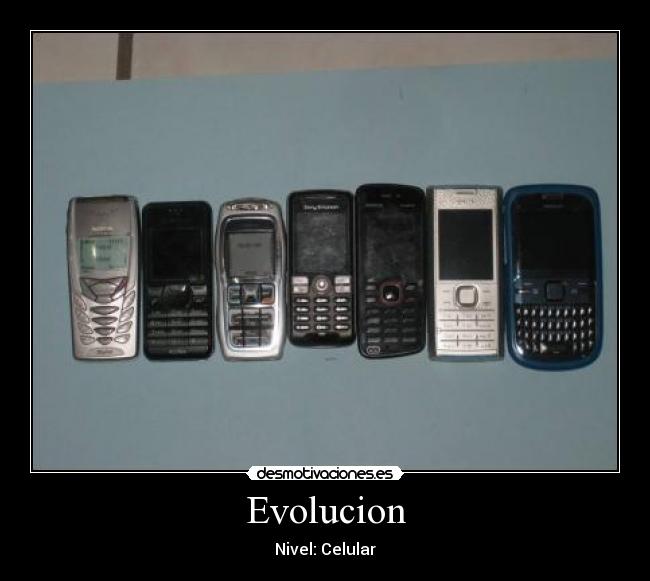 Evolucion - Nivel: Celular