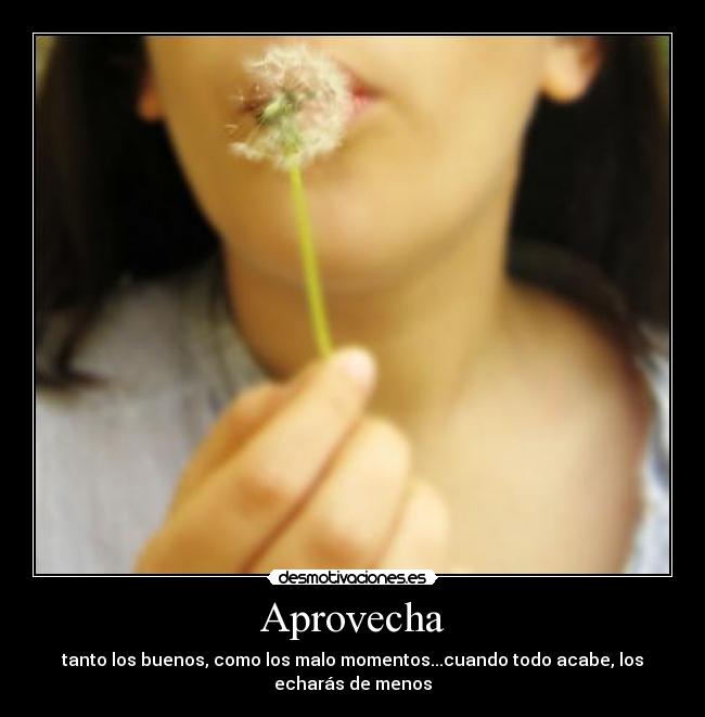 Aprovecha - 