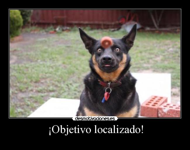 ¡Objetivo localizado! - 
