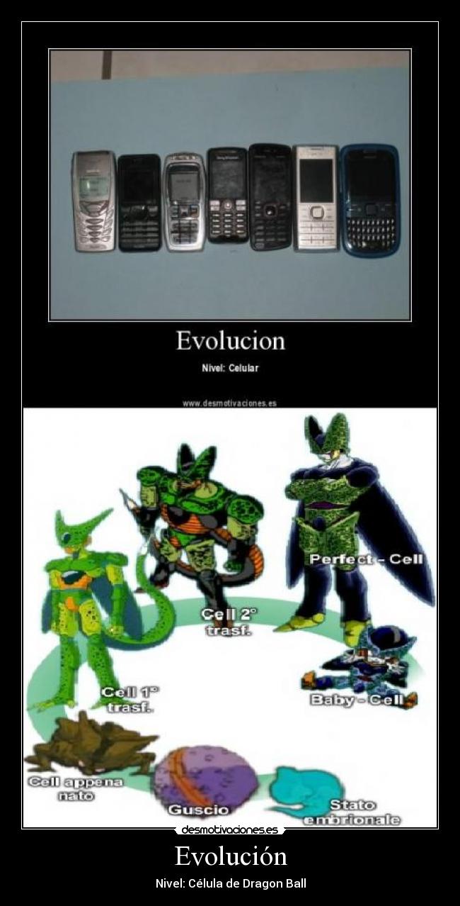 Evolución -