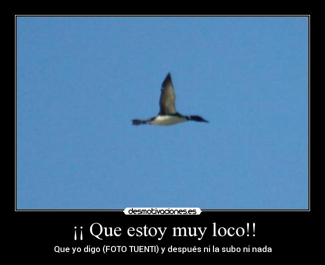 ¡¡ Que estoy muy loco!! -