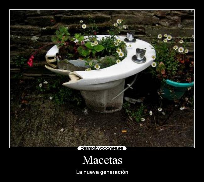 Macetas - La nueva generación