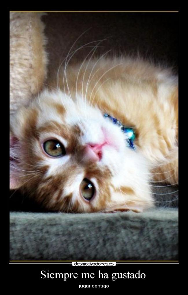 Siempre me ha gustado -