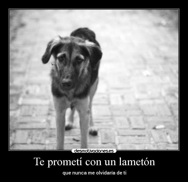 Te prometí con un lametón - que nunca me olvidaría de ti