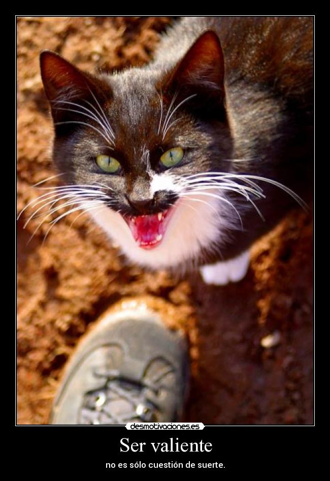 Ser valiente -