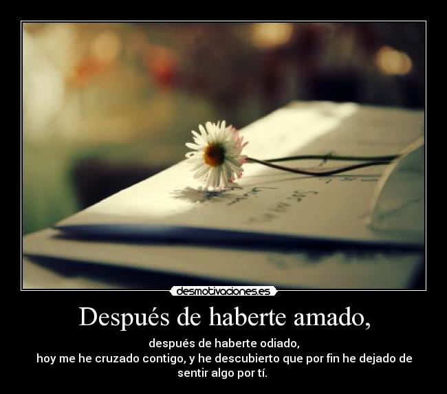 Después de haberte amado, - después de haberte odiado,
hoy me he cruzado contigo, y he descubierto que por fin he dejado de
sentir algo por tí.