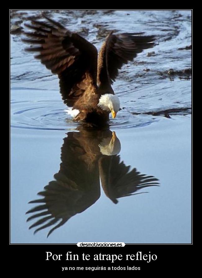 Por fin te atrape reflejo -