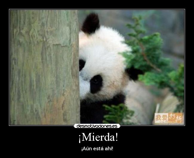 carteles mierda desmotivaciones