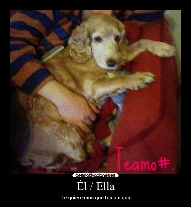 Él / Ella - 