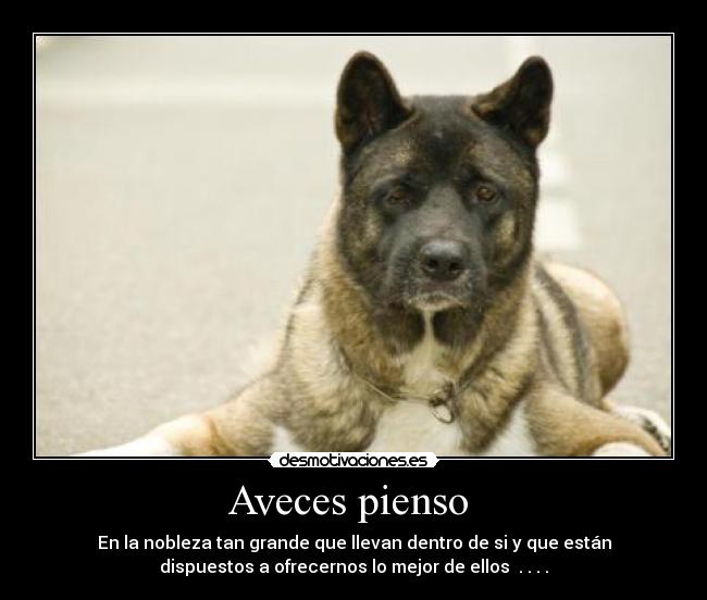 Aveces pienso - En la nobleza tan grande que llevan dentro de si y que están
dispuestos a ofrecernos lo mejor de ellos . . . .