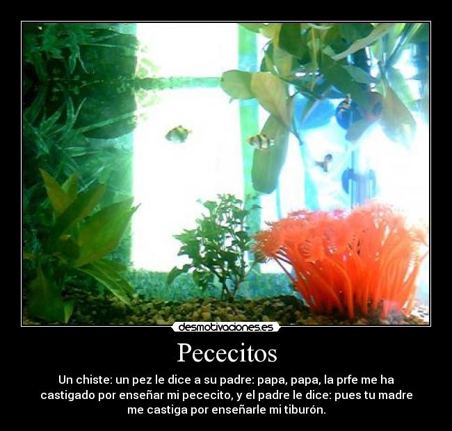 carteles adictionsmey desmotivaciones