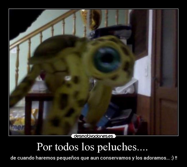 Por todos los peluches....  - 