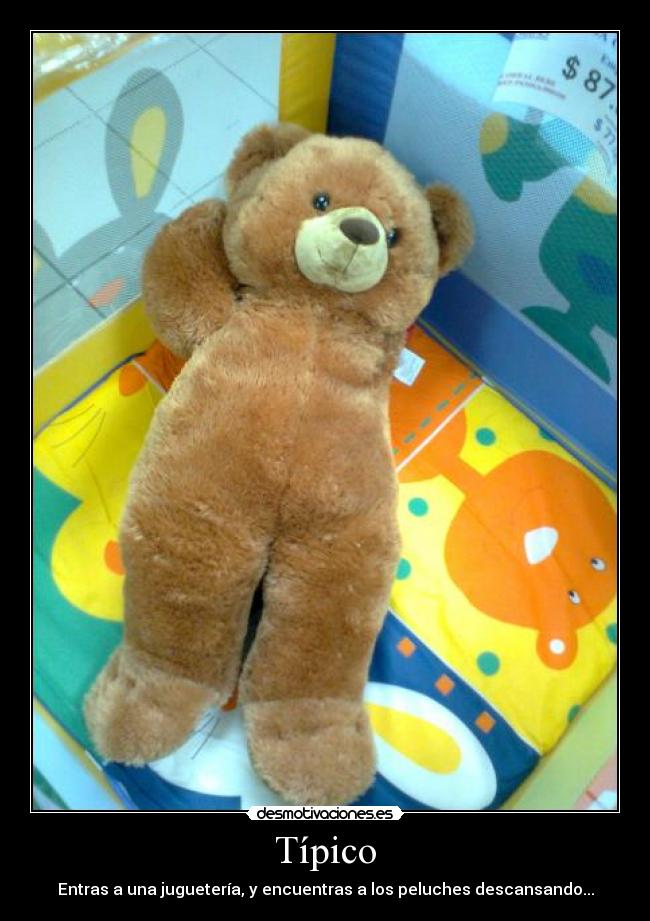 Típico - Entras a una juguetería, y encuentras a los peluches descansando...