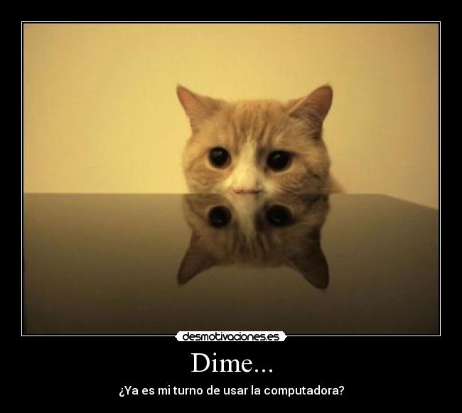 Dime... - ¿Ya es mi turno de usar la computadora?