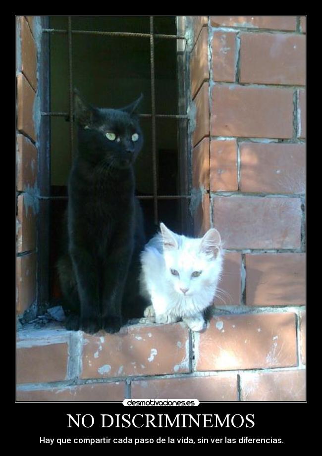 NO DISCRIMINEMOS -