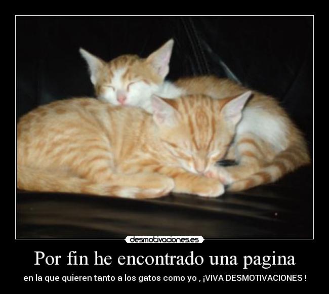 Por fin he encontrado una pagina -