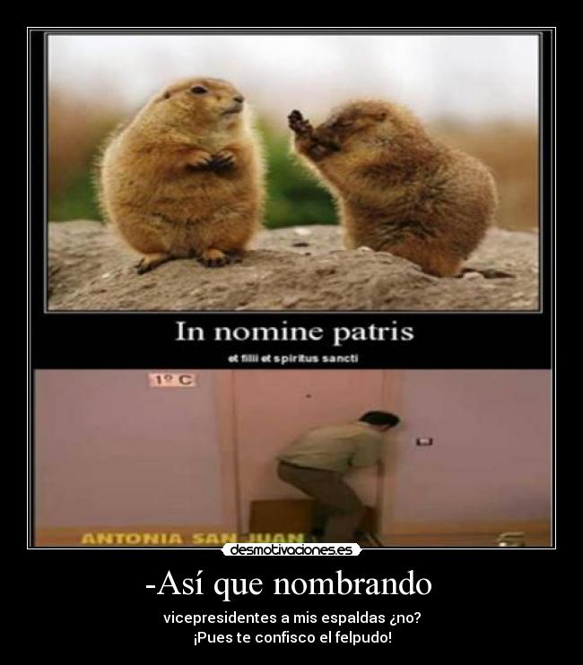 -Así que nombrando - vicepresidentes a mis espaldas ¿no?
¡Pues te confisco el felpudo!
