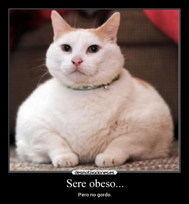 Sere obeso... -