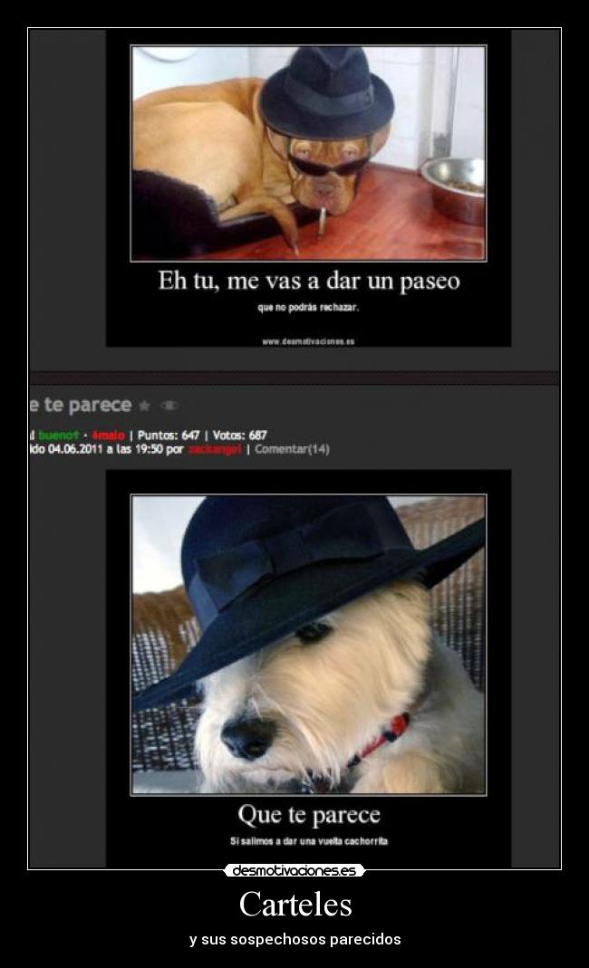 Carteles - y sus sospechosos parecidos