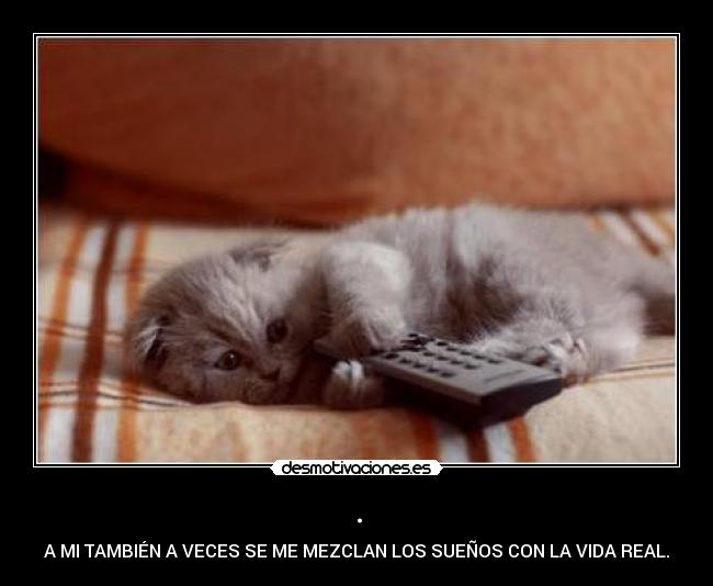 . - A MI TAMBIÉN A VECES SE ME MEZCLAN LOS SUEÑOS CON LA VIDA REAL.