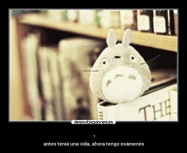 . - antes tenia una vida, ahora tengo exámenes
