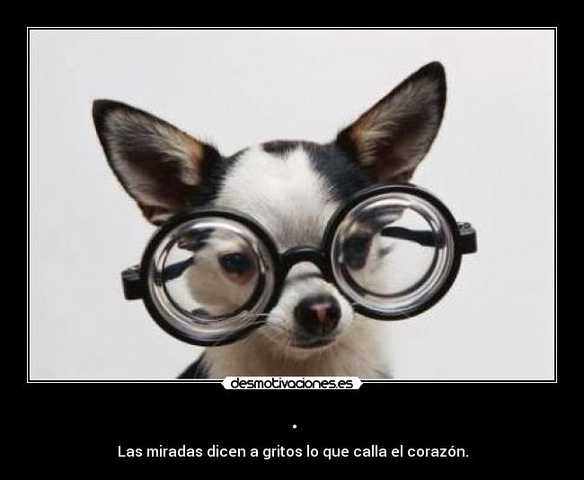 . - Las miradas dicen a gritos lo que calla el corazón.