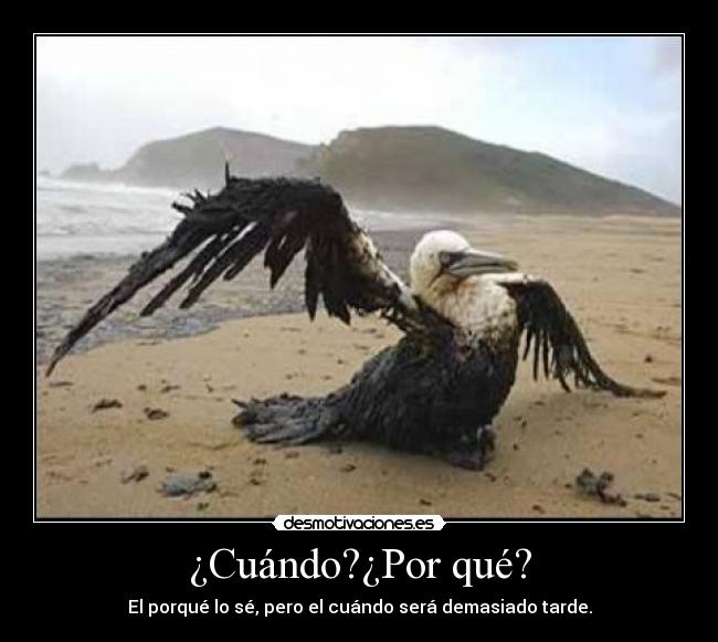¿Cuándo?¿Por qué? - El porqué lo sé, pero el cuándo será demasiado tarde.
