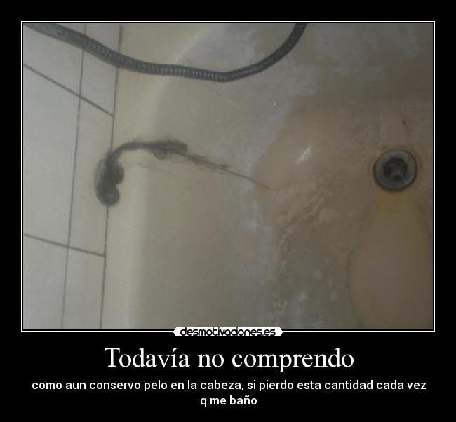 Todavía no comprendo - como aun conservo pelo en la cabeza, si pierdo esta cantidad cada vez q me baño