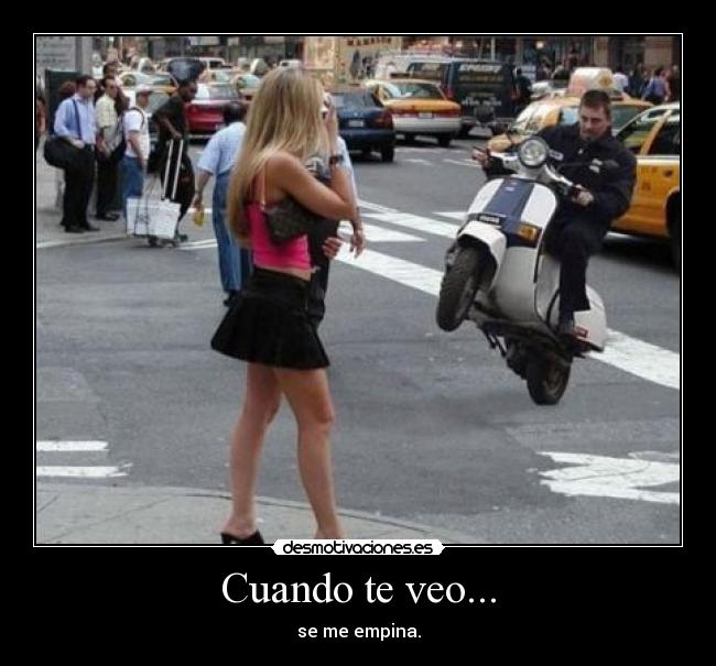 Cuando te veo... - se me empina.