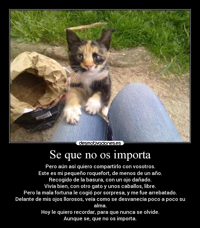 Se que no os importa -