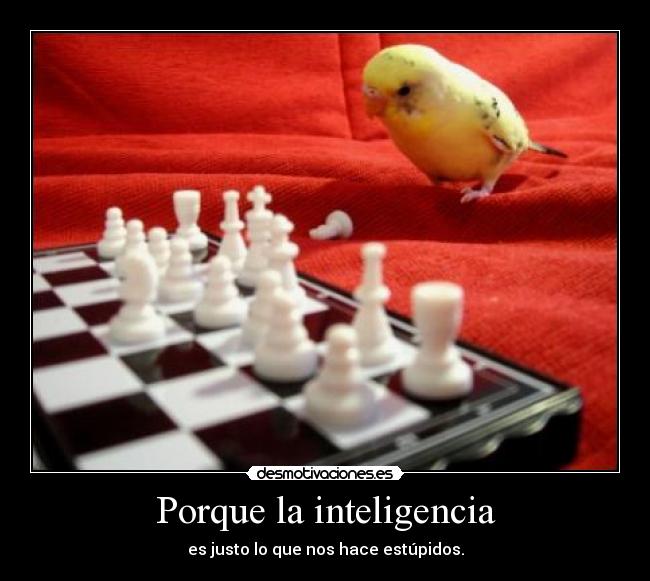 Porque la inteligencia - 