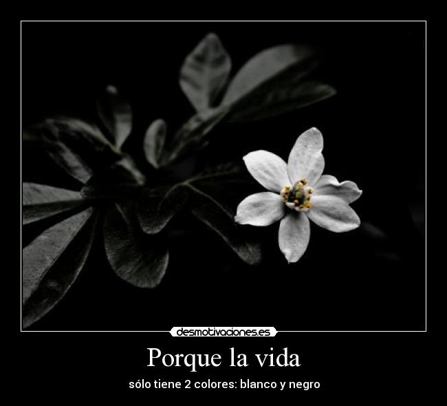 Porque la vida - sólo tiene 2 colores: blanco y negro