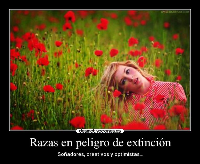 Razas en peligro de extinción - Soñadores, creativos y optimistas...