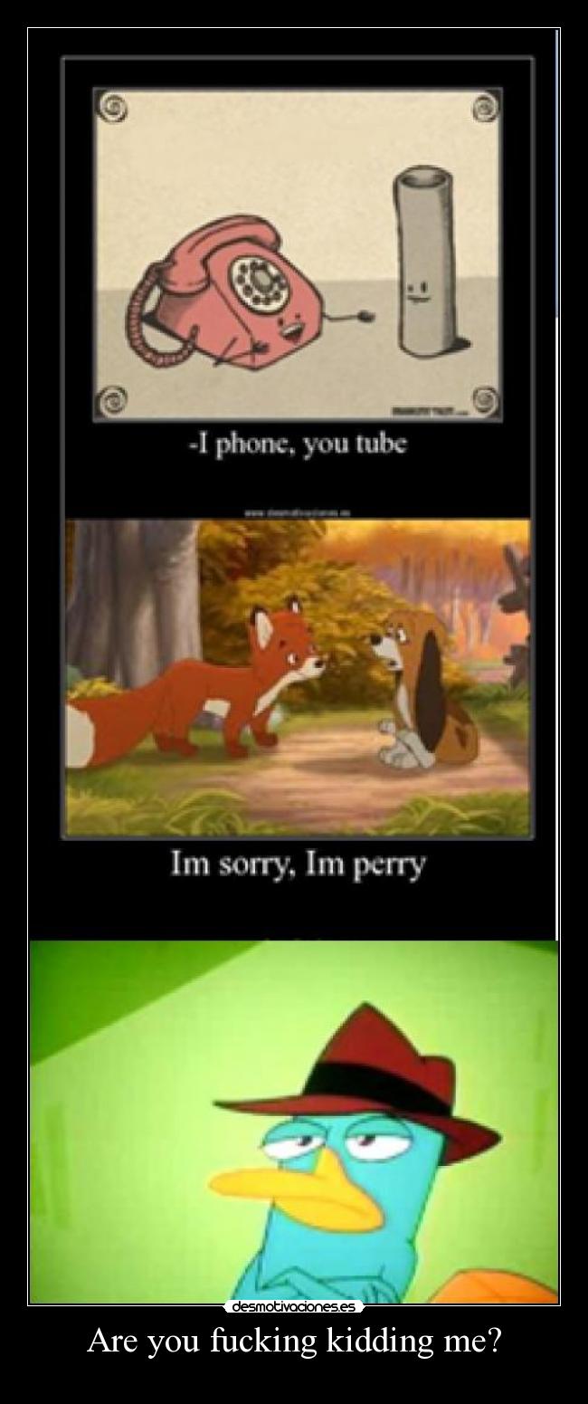 Are you fucking kidding me? - 