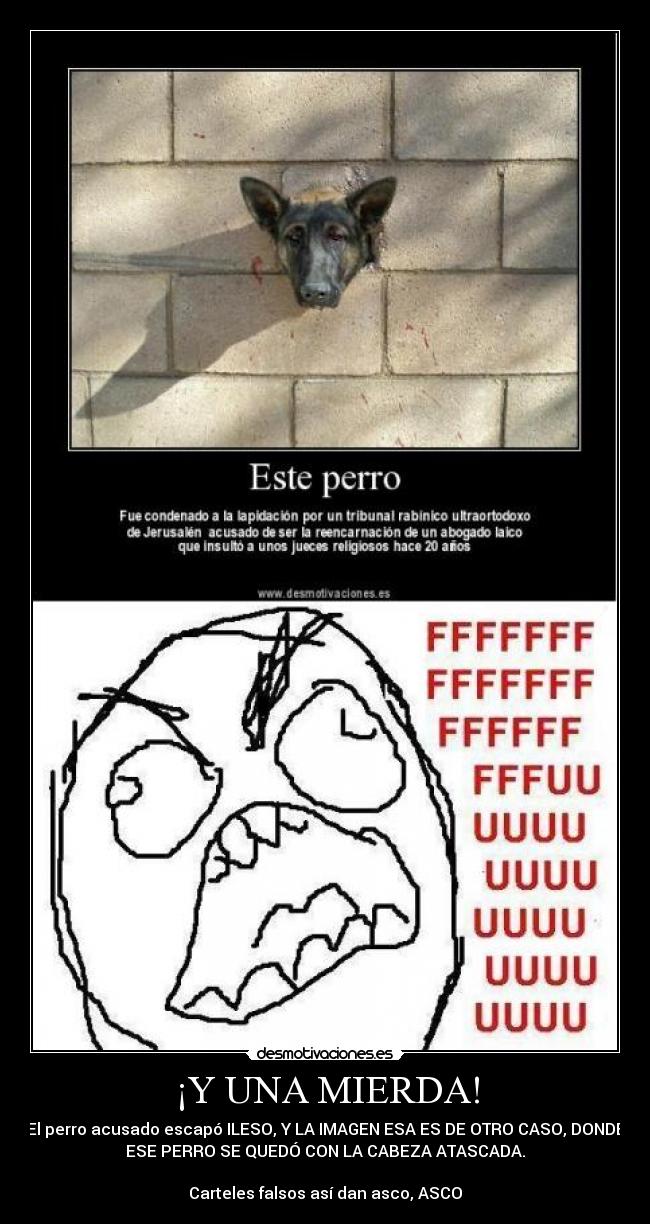 ¡Y UNA MIERDA! -