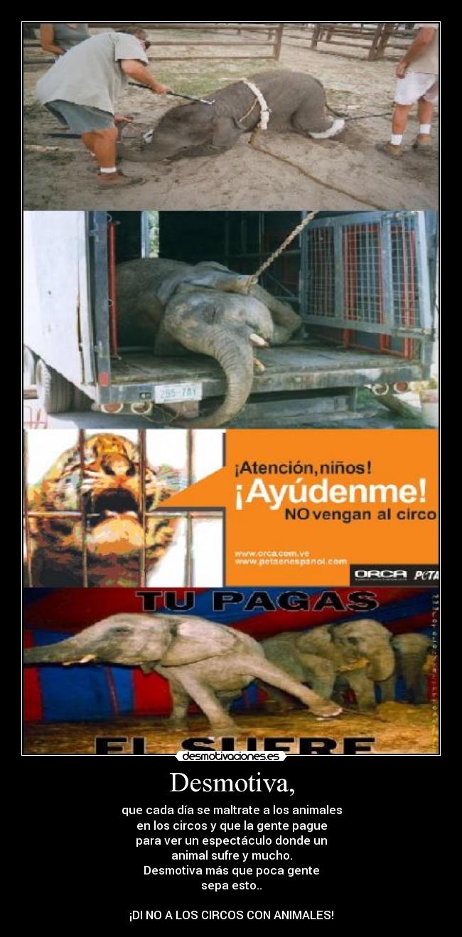 Desmotiva, - que cada día se maltrate a los animales
en los circos y que la gente pague
para ver un espectáculo donde un
animal sufre y mucho.
Desmotiva más que poca gente
sepa esto..

¡DI NO A LOS CIRCOS CON ANIMALES!