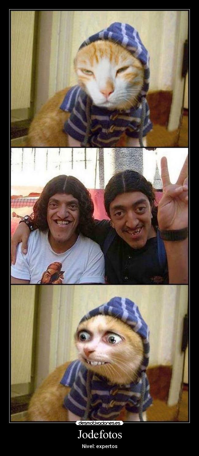 carteles xddddddddddddddddddddddddddddddddddddddddd desmotivaciones