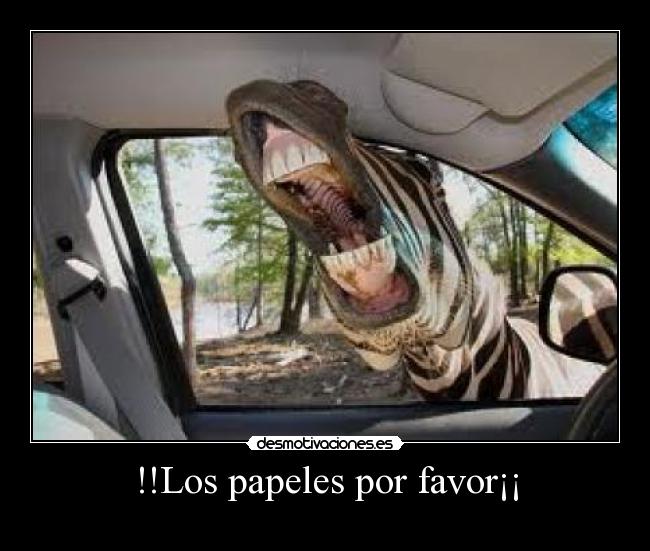 carteles los papeles por favor desmotivaciones