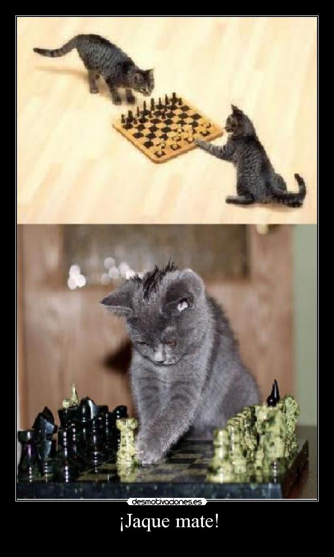 ¡Jaque mate! - 