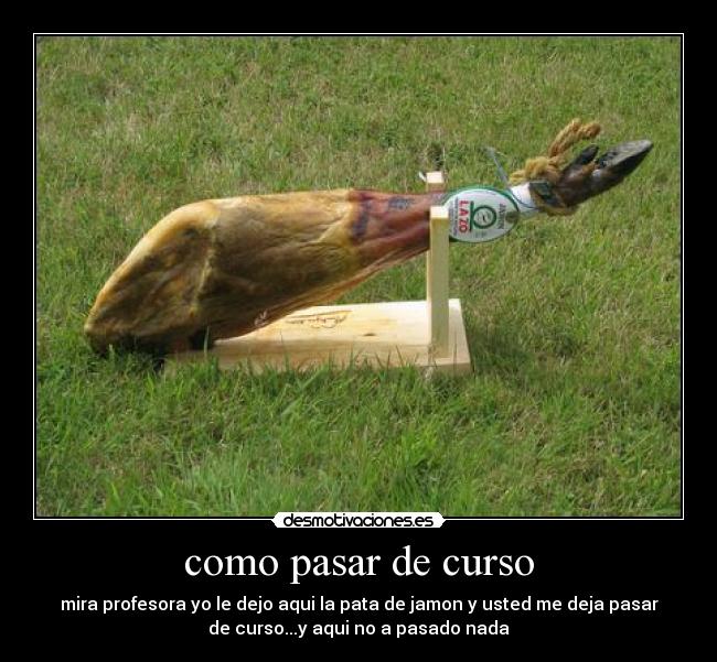 como pasar de curso - mira profesora yo le dejo aqui la pata de jamon y usted me deja pasar
de curso...y aqui no a pasado nada