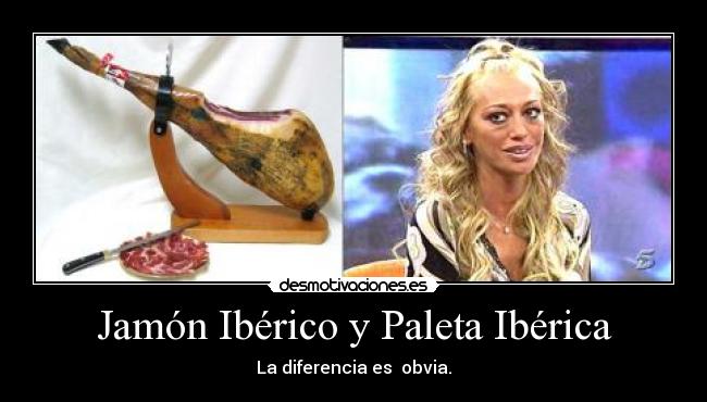 carteles jamon iberico paleta iberica belen esteban desmotivaciones
