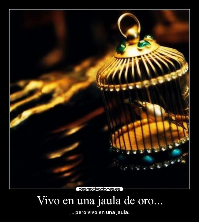 Vivo en una jaula de oro... - 