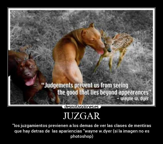 JUZGAR - 