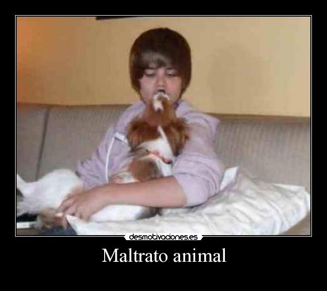 Maltrato animal -