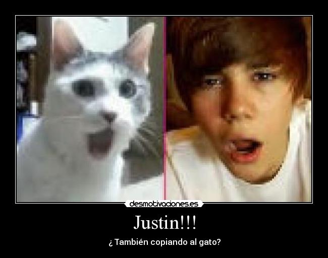 Justin!!! -